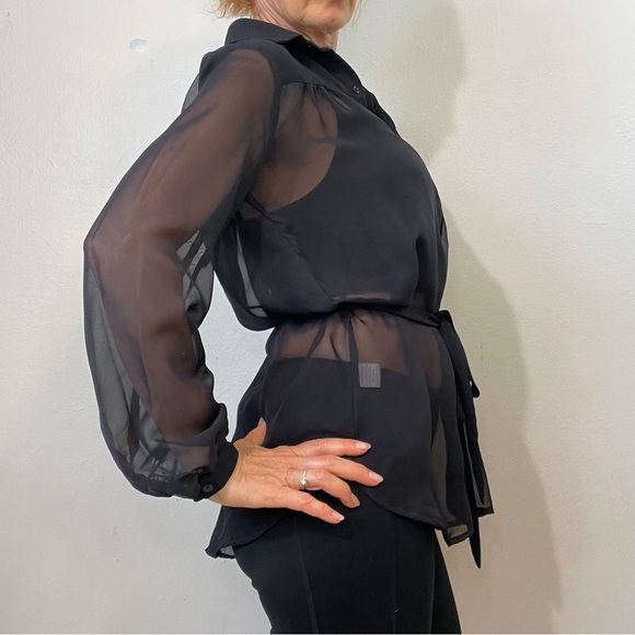 Harlow and Graham pleated sheer button up shirt - Picture 1 of 17